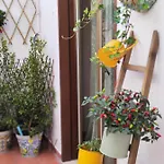 Casa - La Tartaruga